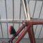 700C Steel Dutch/Holand Oma Bike city bike KB-CB-M16043