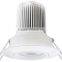 Cob Led Chip Downlight