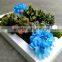 latest Fantastic fashion wall photo frame flower wall for home decor