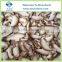 Frozen Fresh Shiitake Slices