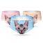 Seamless Briefs for girls 3D Underwear Anti Emptied Women Briefs Cats Print Meryl Women Panties