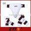 Hot sale Taekwondo shin guards pads shin guard for training and competition