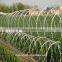 Stock-Discount Razor Barbed Wire (Factory price!!!!)