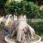 Natural palnts ficus bonsai trees for sale for export