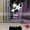Personalized custom acrylic football trophies and awards