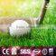 China Factory Guaranteed Quality Proper 4*30/ 2*30/ Customized Artificial Grass Prices
