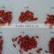 280 Grains Organic Goji Berries