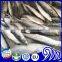 Frozen seafood & fish suppliers