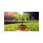 plastic bonsai pots wholesale