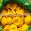 Hot sale IQF peach harlves for export