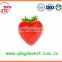 2015 all star 15-25 mm Best quality Whole Fresh Strawberry