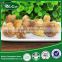 Organic Dried Agaricus Blazei Brazil Mushroom