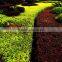 Natural plants type Graden landscape