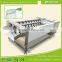 GL-380 fruit and root vegetable washinng and peeling machine ,shallot peeling machine,turnip washer and peeler