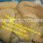cattle/sheep/pig tripe cleaning machine/ cow tripe washing machine