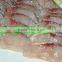 Slicing machine for fish/meat cutting machine