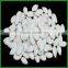 2015 China New Crop Snow White Pumpkin Seed in Shell Hot Sale