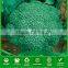 ABR011 Lvjian 60 days hybrid vegetable seeds of broccoli seeds
