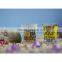 new design fashion high capacity beer glass pint glass