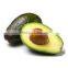 High quality olive oil machinery / plush toy avocado small home use prickly pear seed oil extraction machine