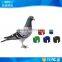 nfc chip animal tracking foot tags for pigeon racing