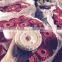 nylon or polyester fishing line plastic extruder