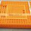 Plastic poultry transport crate for chicken and duck