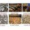 Drum wood chippers /wood chipping mill/ log chip crusher with the factory price