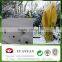 100% pp spunbond non woven banana bag, tree cover, plant cover