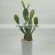 SJ3001107Ornamental Artificial Green Cactus Plants