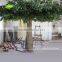 GNW BTR055 Best selling large green tree home decoration