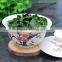 Strong Aroma Chinese Anxi Tie Guan Yin Iron Goddess Oolong Tea