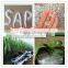Farm chemical agriculture polyacrylate de sodium /potassium gel