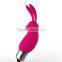 Sex Toy Rabbit Ears Vibrator for Women G spot Silicone Plastic