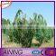 Lowest price plastic bird netting for fruit trees