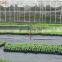 Weed barrier mat for agriculture adding the UV, eco-friendly control weed mat, heavy duty ground cover for greenhouse