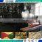 Vegetables and fruits drying line equipment for dehydrated onion