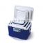 5L 13L 27L 45L Ice Insulated  Fresh Keeping Box Combo Container  Plastic Handy Cooler Box