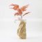 Modern Luxury Ceramic Porcelain Home Decor Irregular Shape  Golden Vase For Flower Arrangement