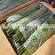 Frozen Dong Leaves High Quality WHOLESALE PRICE From VIETNAM