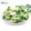 HACCP KOSHER HALAL BRC Quality New season Frozen Vegetables IQF Broccoli Cuts