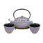 Chinese traditional tea kettle Cast iron Teapot with strainer trivet cup teapot sets