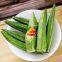 Hot Sale Vacuum Fried Okra Wholesale Price