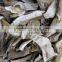 Market prices for mushroom dried boletus edulis