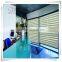 Yilian Fashional Design Zebra Roller Blind/Zebra Roller Shade