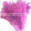 high quality Ostrich Feather Computer Duster