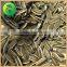 Hot Sale Sunflower Seeds Vegetable