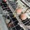 Best Sale Chicken Egg Layer Cages in South Africa
