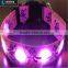 New Design Blue Double Sided Flashing Led Dog Collar