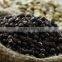 VIETNAM BLACK PEPPER FOR EXPORTING TO EGYPT MARKET